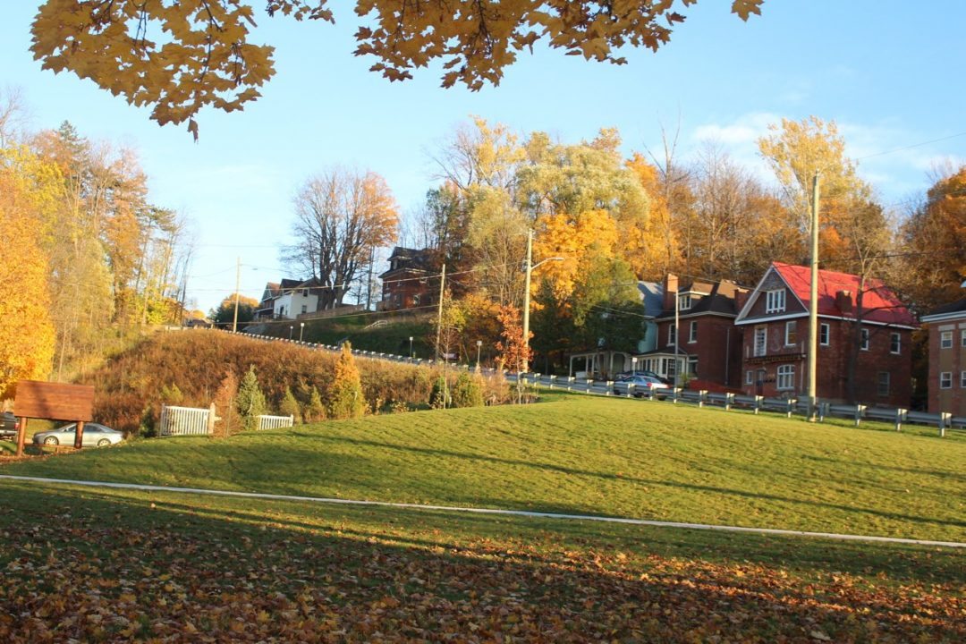 Ryerson Park Envision Tatham